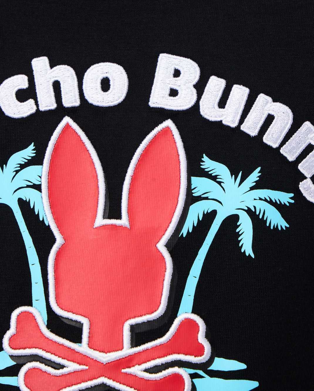 Polos Psycho Bunny Boston Graphic Tee Noir Enfant | YUM-96226213